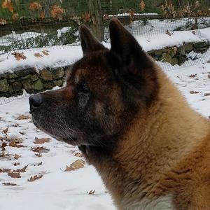 Meet your Posher, Diane